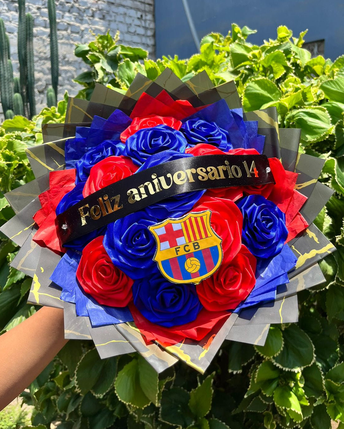 Ramo Barcelona ⚽❤️💙